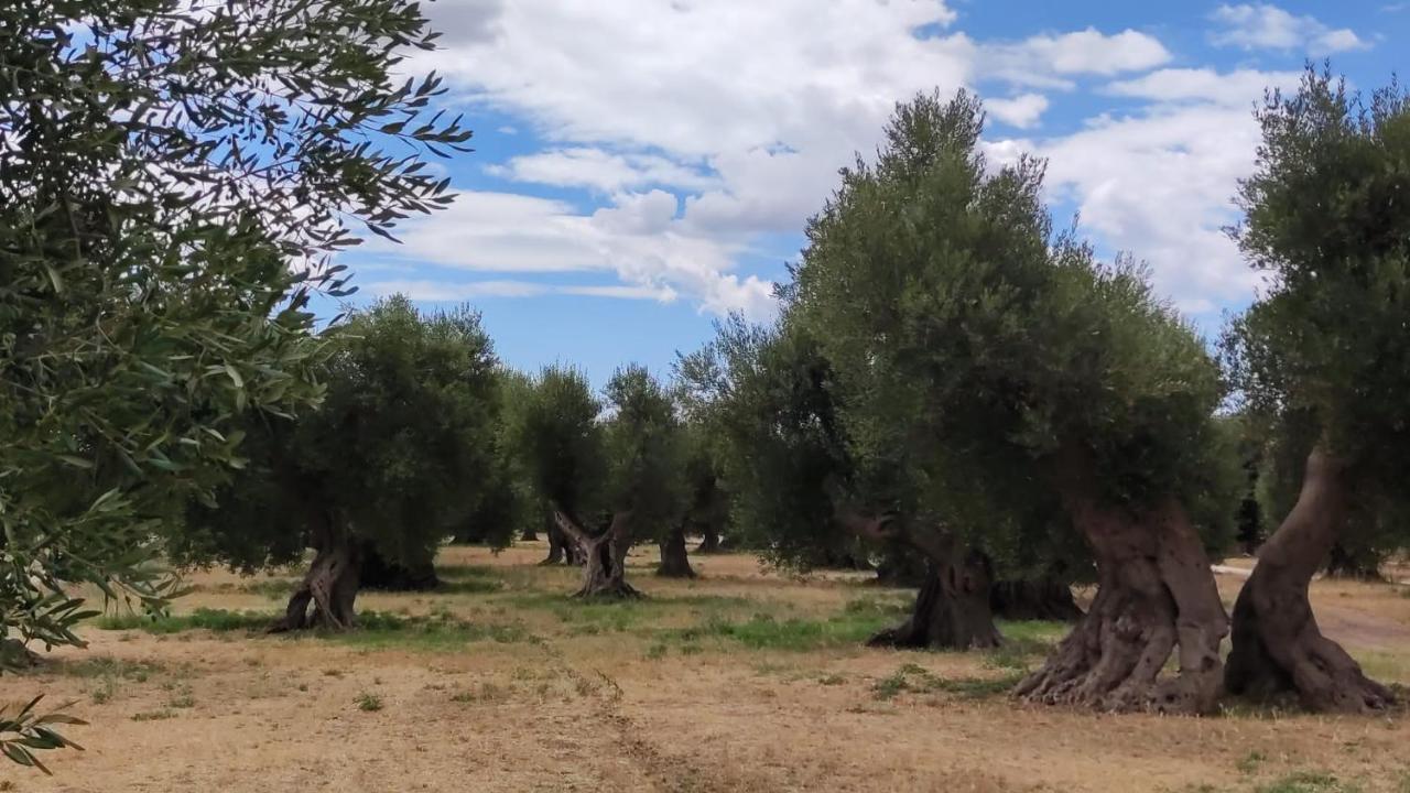 Le Grotte di Sileno Bed and Breakfast Castellaneta Esterno foto